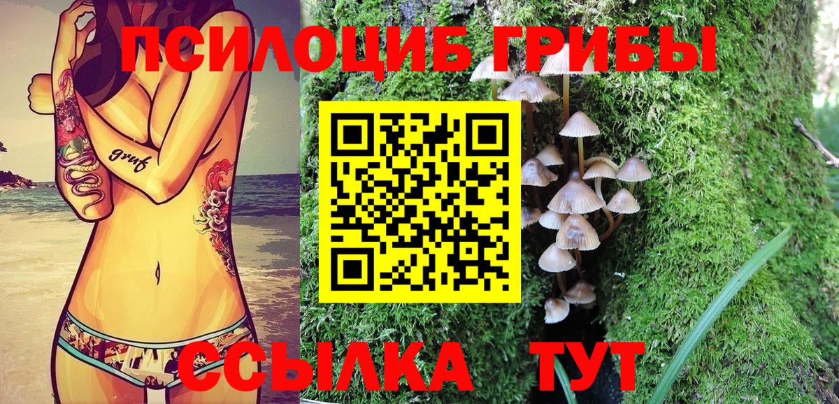Галлюциногенные грибы ЛСД  Вход с VPN  Баксан 