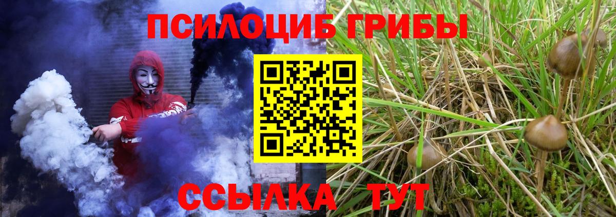Псилоцибиновые грибы мухоморы Баксан