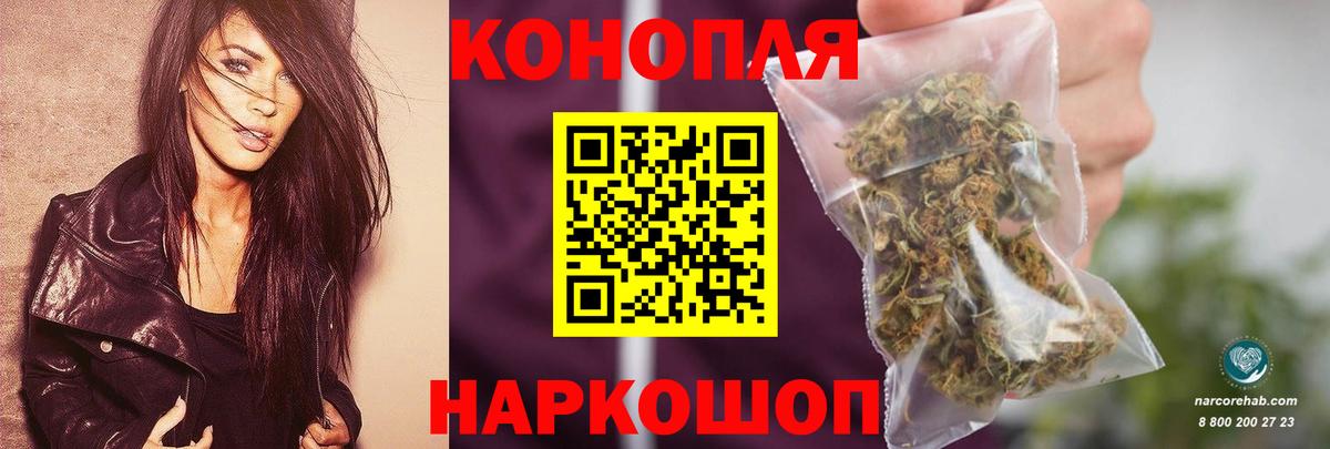 Каннабис SATIVA & INDICA Баксан